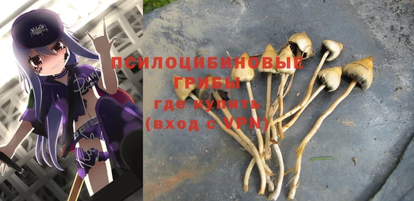прущая мука Арсеньев