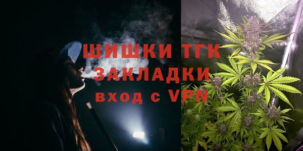 прущая мука Арсеньев
